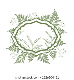 frame with plants and herbs isolated icon