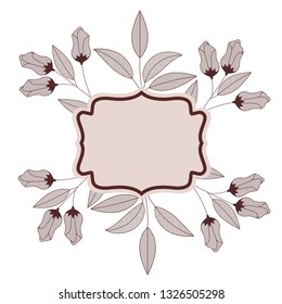 frame with plants and herbs isolated icon