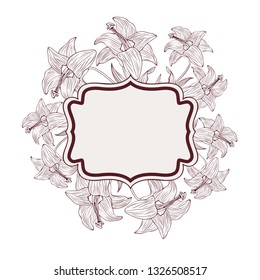 frame with plants and herbs isolated icon