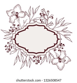 frame with plants and herbs isolated icon