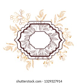 frame with plants and herbs isolated icon
