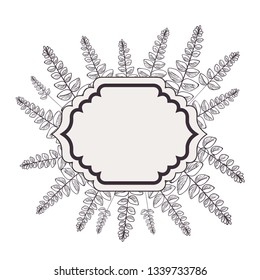 frame with plants and herbs isolated icon