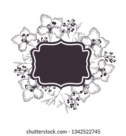 frame with plants and herbs isolated icon
