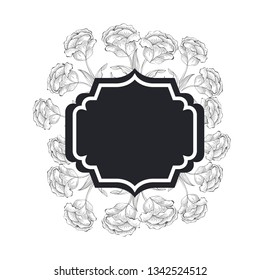 frame with plants and herbs isolated icon