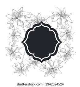 frame with plants and herbs isolated icon