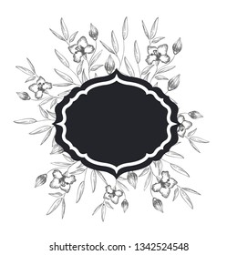 frame with plants and herbs isolated icon