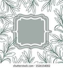 frame with plants and herbs isolated icon vector illustration desing