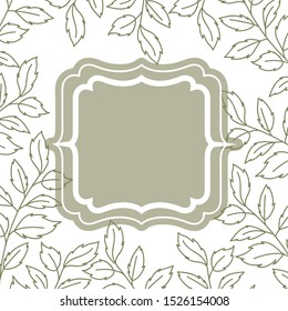 frame with plants and herbs isolated icon vector illustration desing