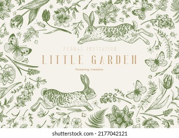 Frame with plants, rabbits and butterflies. Spring or summer background with garden and forest flowers. Green.