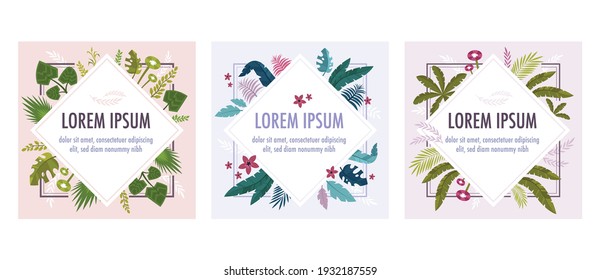Frame plants set of three compositions with flat images of exotic leaves flowers and editable text vector illustration