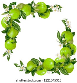 Frame with pomelo fruit and flowers in vector illustration graphic design