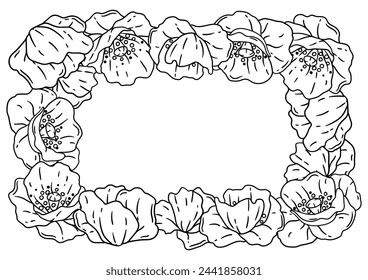 Frame with poppies flowers. Beautiful decorative plants.