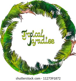 Frame of ptropical palm leaves. Vector illustration EPS10
