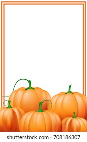 Frame with pumpkins on white background, vector illustration. Empty place for Your text in the center. Vector vegetables.