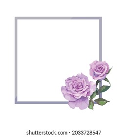 A Frame of Purple rose Watercolor Vector