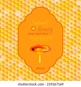 frame with rasteksheysya  honey on honeycombs background