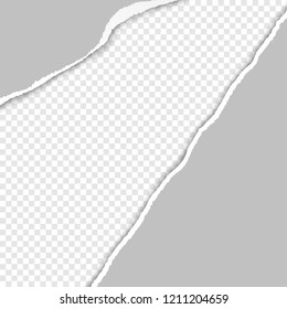 Frame with realistic torn paper edge with space for text or your image. Vector template on transparent background. Banner for advertising, invitation or web design.
