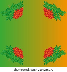 Frame of red berries mountain ash on gradientbackground with copy space. Pattern with beautiful rowan with green leaves. Autumn concept.