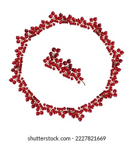 a frame of red berry brushes, a single element on an isolated background