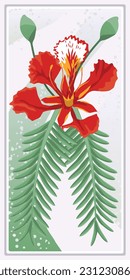 Frame with red delonix flower wall art - for wall framed prints, canvas prints, poster, home decor, vector image