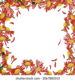 A frame of red flowers around the perimeter. Sloppy
drawing of autumn chrysanthemums for backgrounds, cards and prints.
