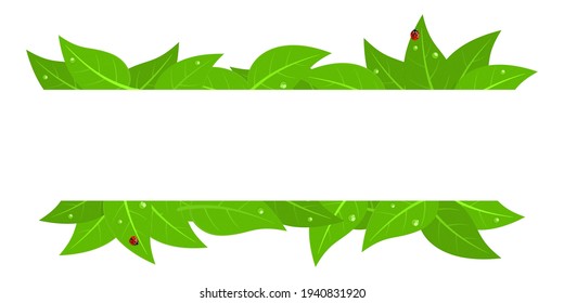 Frame With Red Ladybugs And Green Leaves With Water Drops Isolated Vector Illustration Art