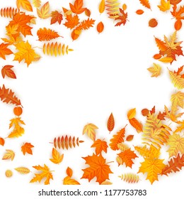 Frame with red, orange, brown and yellow falling autumn leaves. EPS 10