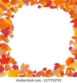 Frame with red, orange, brown and yellow falling autumn leaves. EPS 10