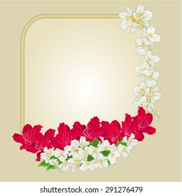 Frame with red  rhododendron and jasmine greeting card festive background place for text vector illustration