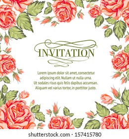 Frame of red roses on a white background. Vector illustration