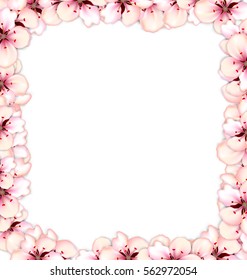 Frame restangle blossoming sakura or cherry red flowers, space for text your design - vector