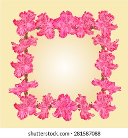 Frame with Rhododendron greeting card festive background place for text. vector illustration.