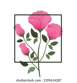 frame with rose isolated icon