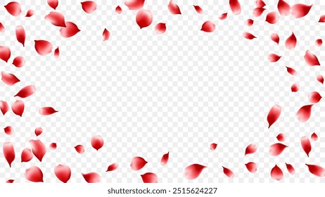 Frame rose petals or sakura realistic flying scattered. romantic background spring season, spa