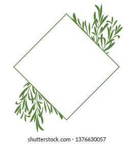 Frame of rosemary branches. vector illustration of herbs. perfect for herbal card, packaging, menu design