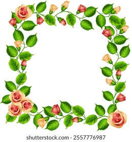 frame with roses on pink background vector illustration