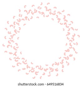 A frame of rotating, flying rose petals. Whirlwind, wedding background