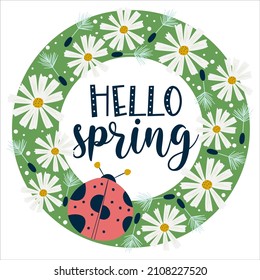 Frame round hello spring with ladybug and chamomile flowers isolated on white background.Chamomile and insects with dandelions on a green background. Vector illustration in flat style