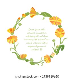 Frame with Roundish Shape made with Hand Drawn Colorful Twigs, Leaves and Flowers of a Marigold. Vector Illustration for Traditional Medicine Products, Posters, Designs.