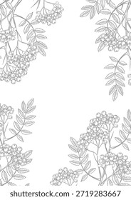 Frame with rowan branches. Vector graphics. Black and white hand-drawn illustration with shades of gray. On a white background. Perfect for postcards, banners, packaging, posters, and labels.