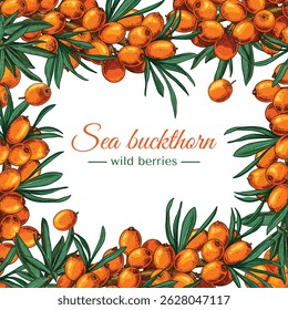 Moldura de frutos do mar buckthorn e folhas em um fundo isolado. Espaço livre para texto.