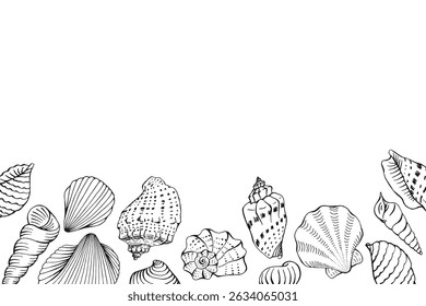 Frame with seashells with copy space for design or message.  Hand drawn