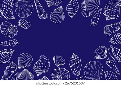 Marco con conchas marinas. Ilustración vectorial dibujada a mano.