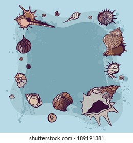 Frame of seashells. Summer background. Vector illustration.