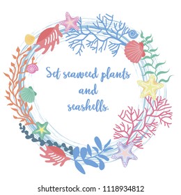 Frame of seaweed, coral and shells. Vector illustration