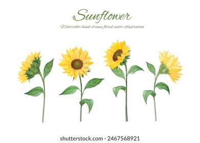 Frame set decorated with hand-drawn watercolor sunflowers