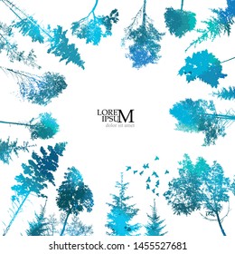 The frame silhouettes of trees. Vector illustration