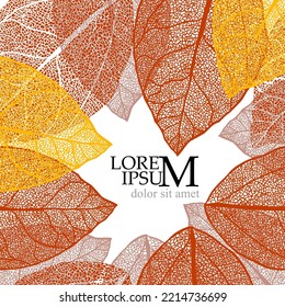 Frame with skeletonized leaves. Vector illustration