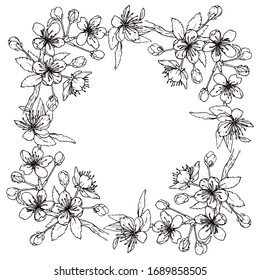 Frame from a sketch of a branch of a flowering plum.