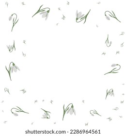 A frame of snowdrops for your design. First spring flowers. Square frame. Vector illustration.